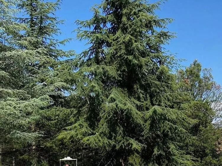 Hostelli Tenuta Di Camporsevoli