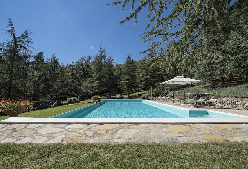 Хостел Tenuta Di Camporsevoli