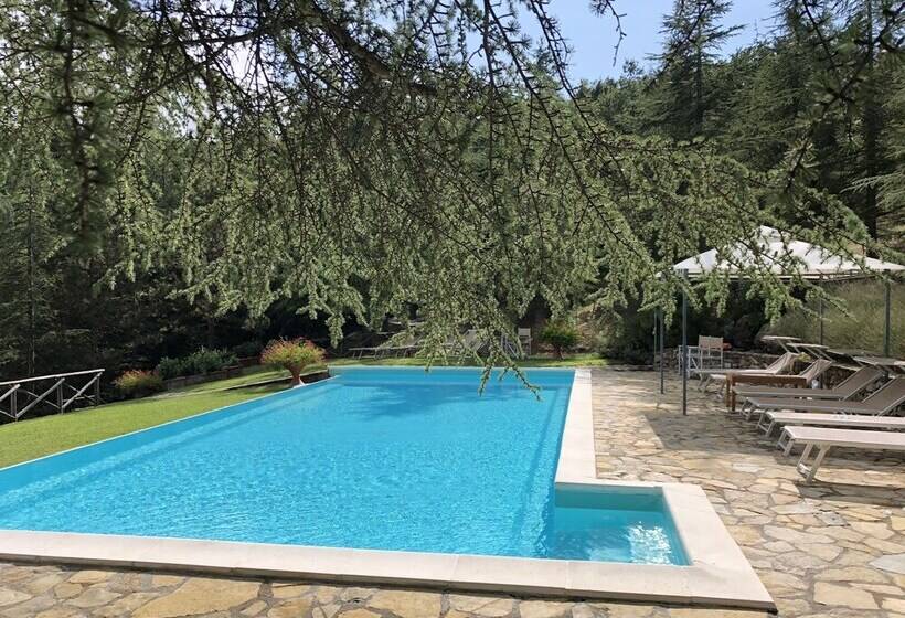 Хостел Tenuta Di Camporsevoli