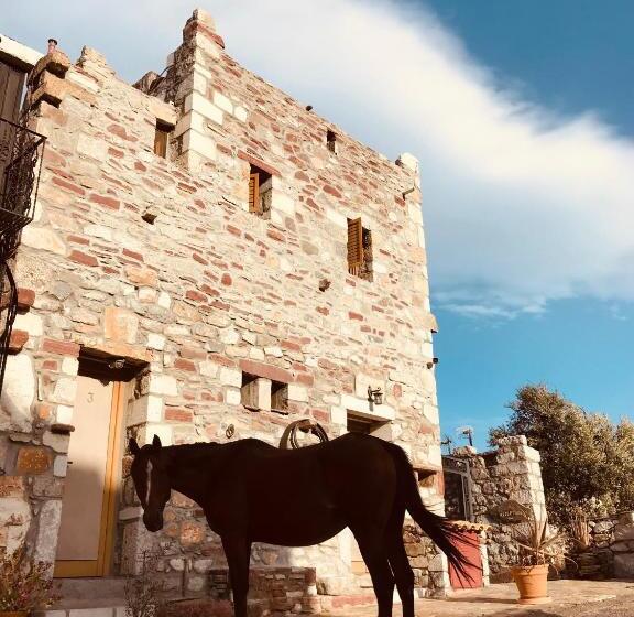 בית מלון כפרי Castlerizaraki