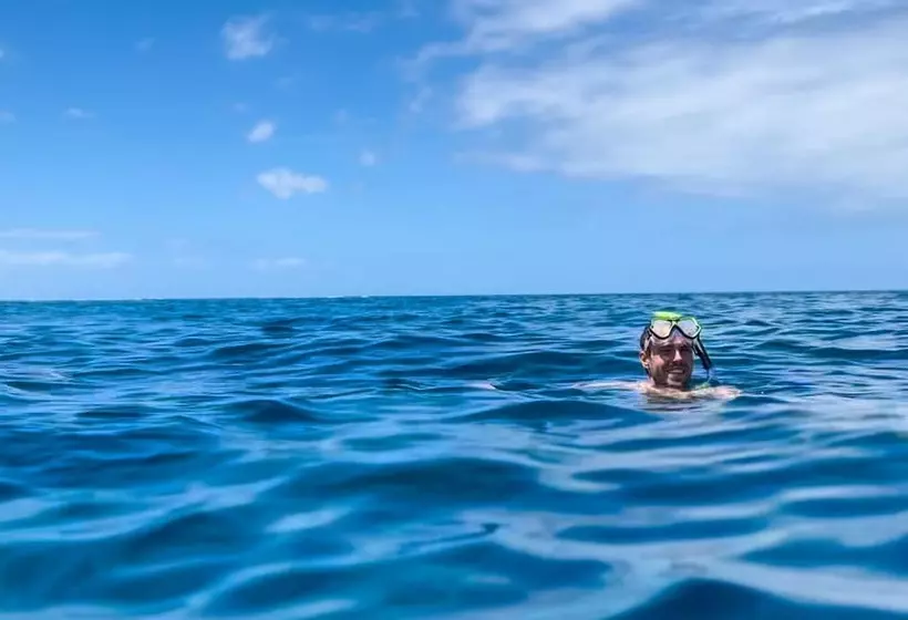 Howzit Hostels Hawaii