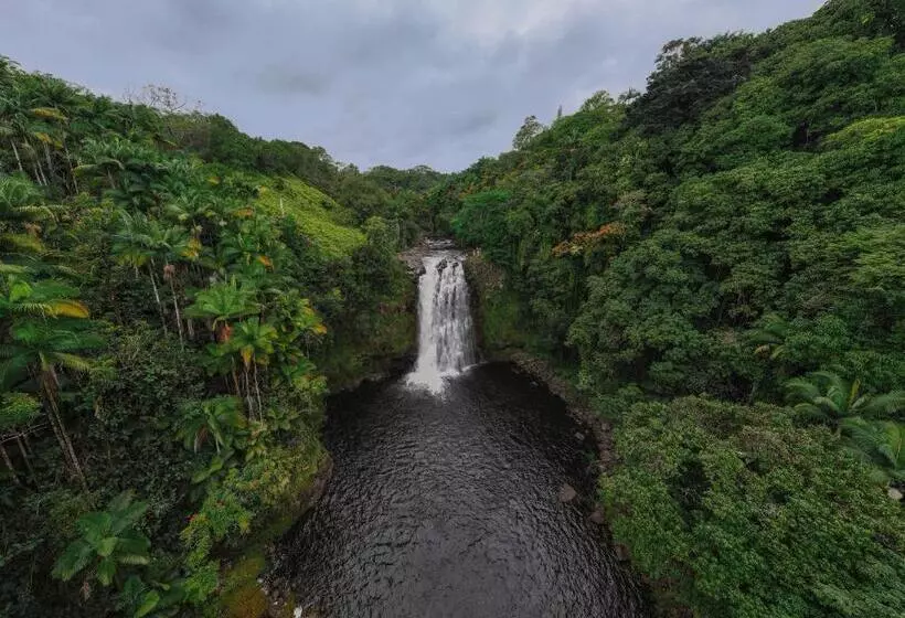 Howzit Hostels Hawaii