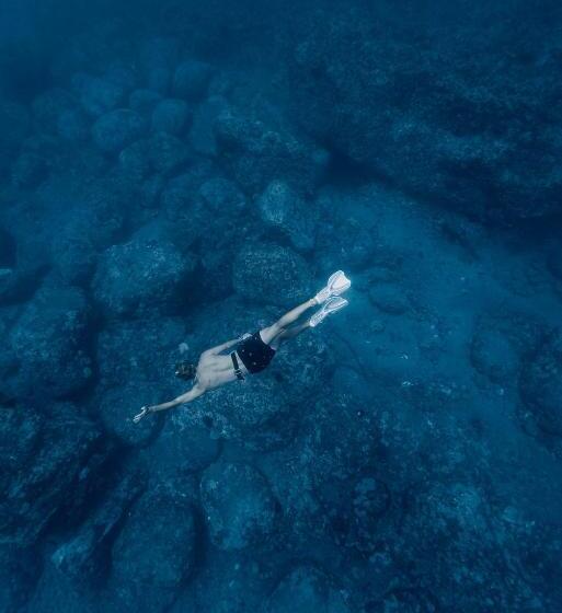 Howzit Hostels Hawaii