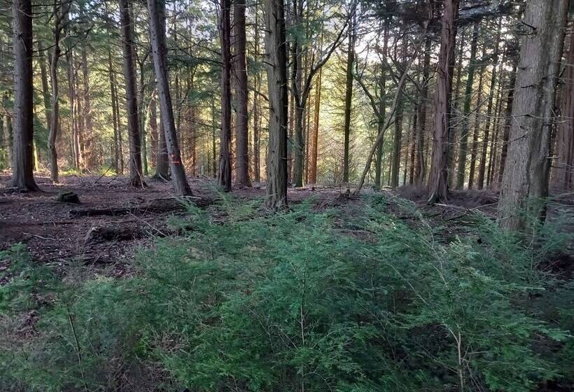 إقامة The Bungalow, Forest Of Dean