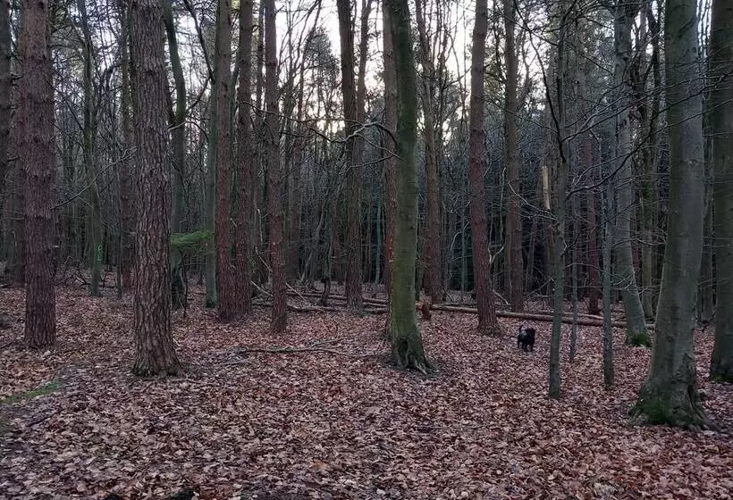 Residenssi The Bungalow, Forest Of Dean