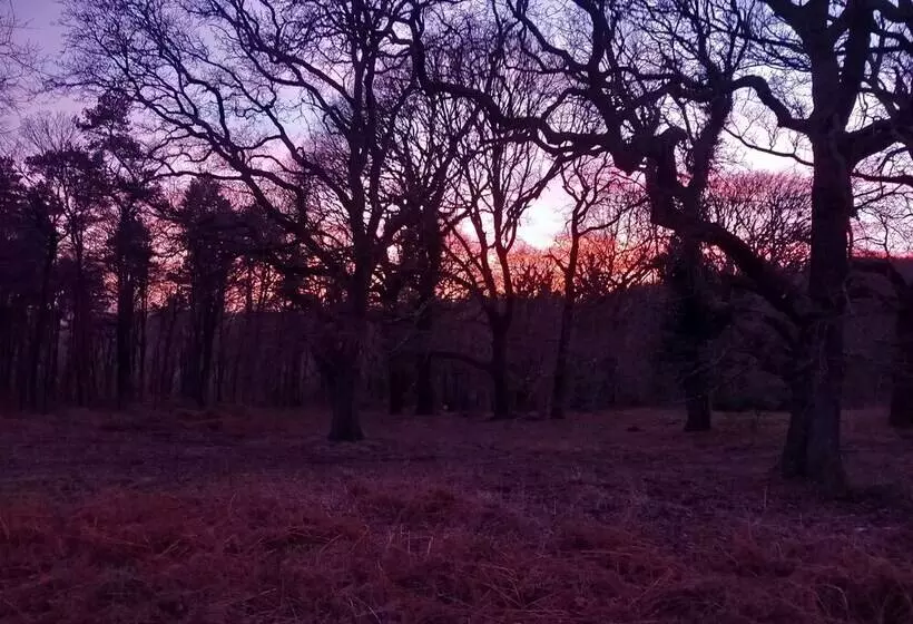 Residenssi The Bungalow, Forest Of Dean