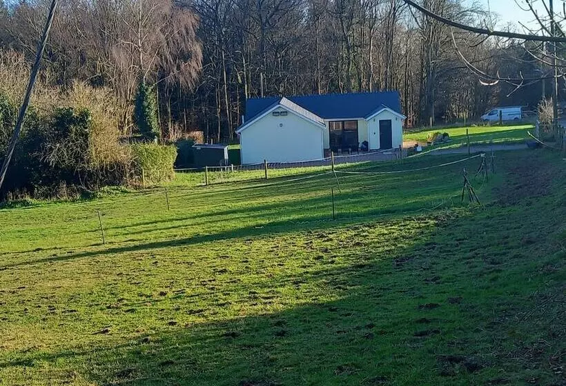 Residenssi The Bungalow, Forest Of Dean