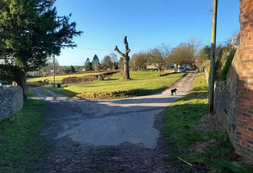 Residenssi The Bungalow, Forest Of Dean