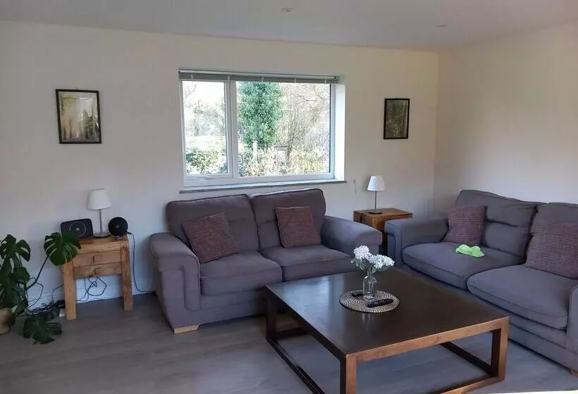 Residenssi The Bungalow, Forest Of Dean