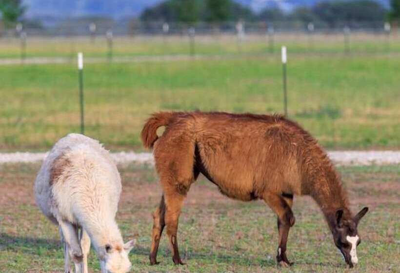 Verbena Waterfront With Hot Tub