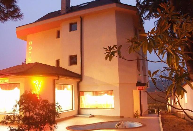 Family Hotel Emaly 1