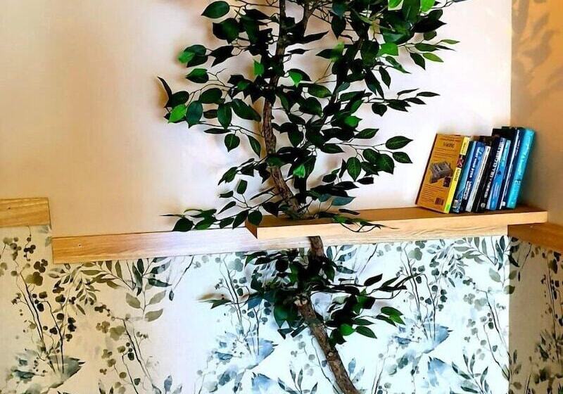 Luxury Green Hostal Madrid Gran Vía