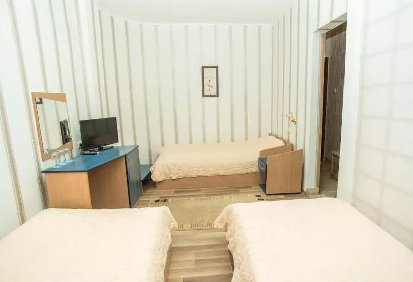 Family Hotel Accent