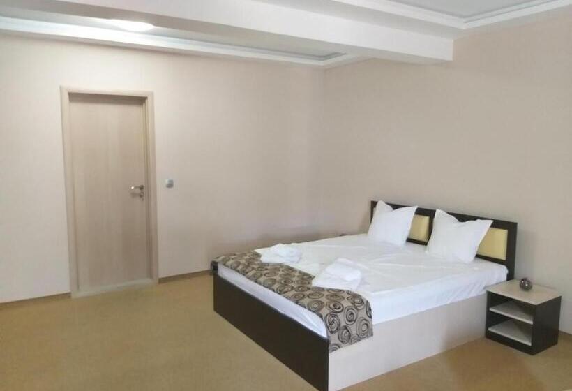 Отель Alexander