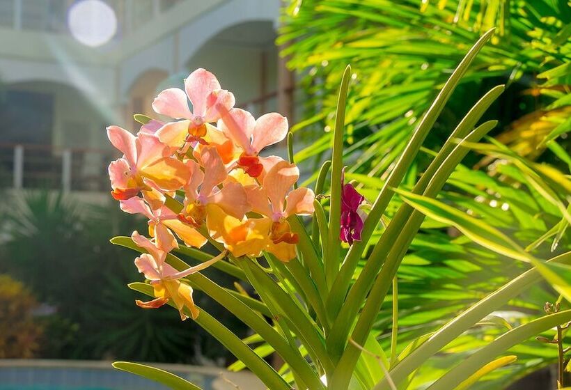 ホテル Alona Northland Resort