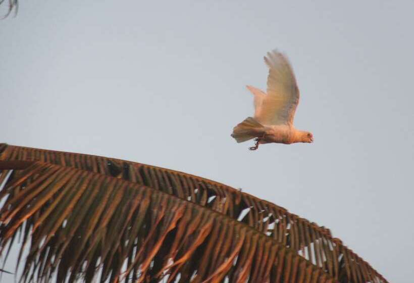 Dampier Mermaid Hotel Karratha