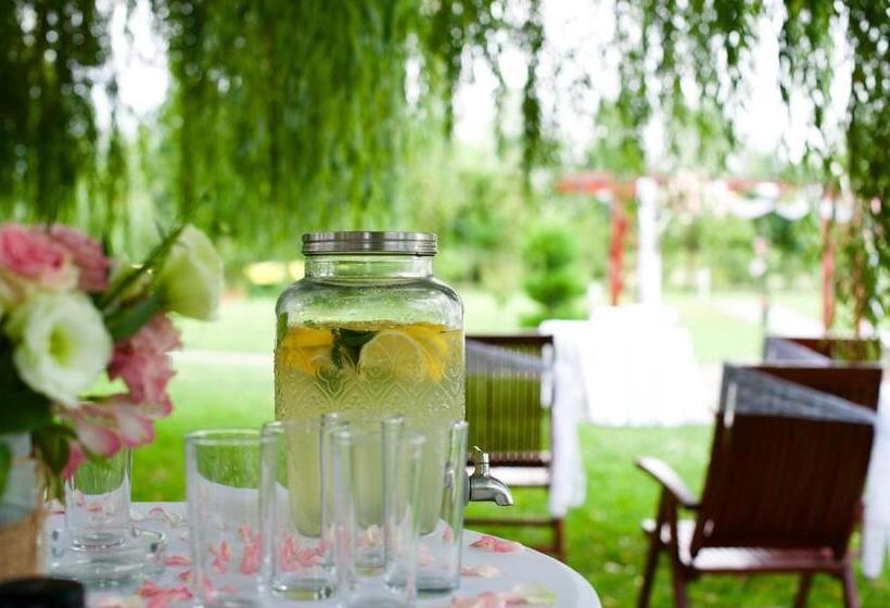 בית מלון כפרי Yaev Family