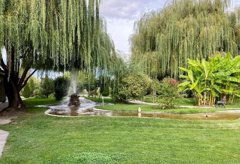 בית מלון כפרי Yaev Family