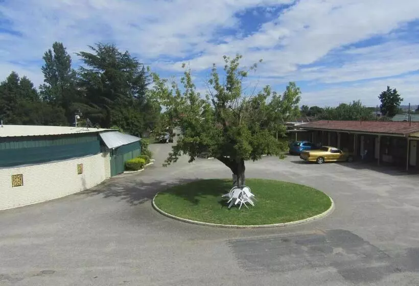 モーテル Twin City Motor Inn