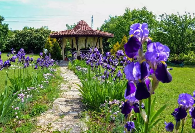 Park Hotel Djevana