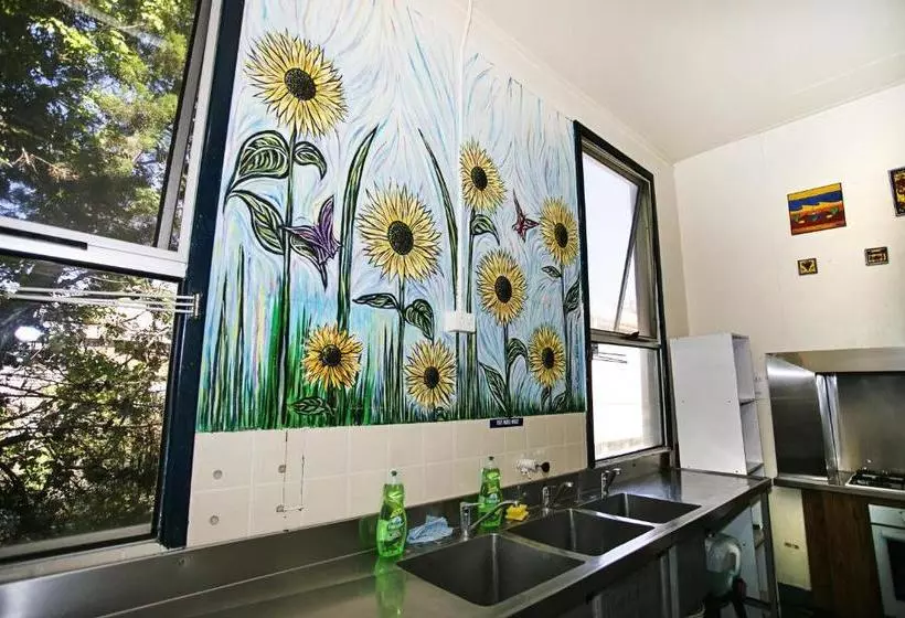 هاستل Albany Bayview Lodge Yha