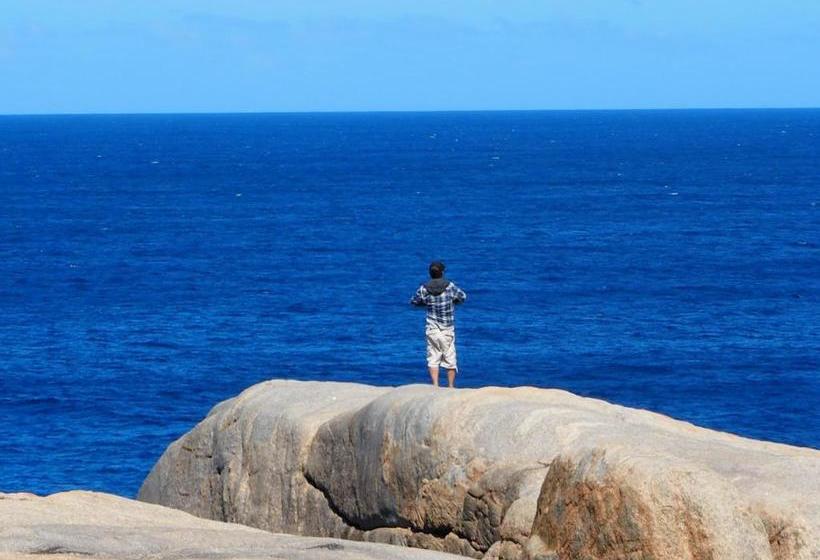 הוסטל Albany Bayview Lodge Yha