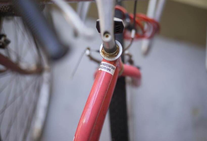 Alberg Yha Coolangatta Gold Coast