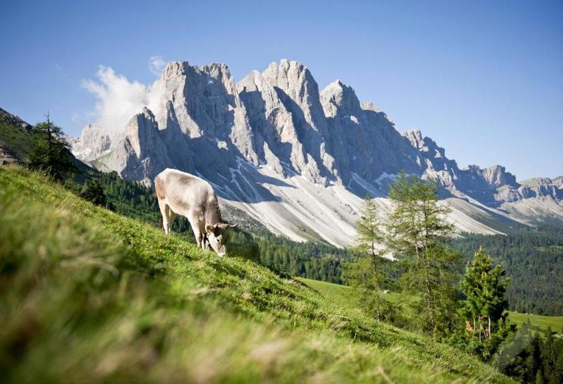Bed and Breakfast Raschötzhof