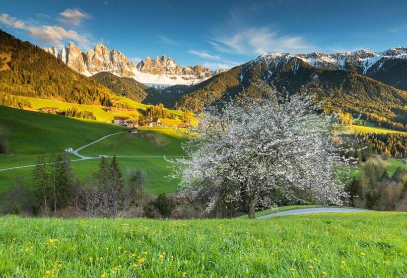 Bed and Breakfast Raschötzhof