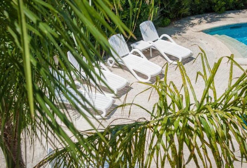 مبيت وإفطار Villa Magnolia Luxury Suites