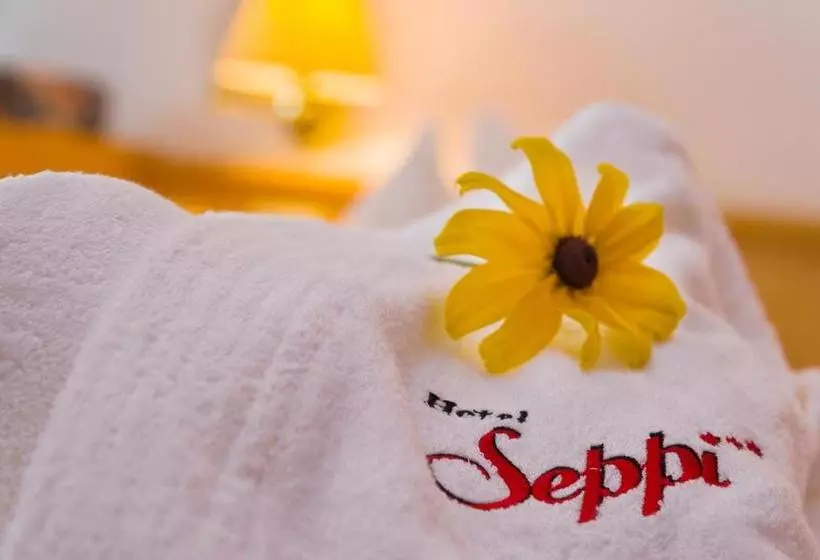 ホテル Seppi
