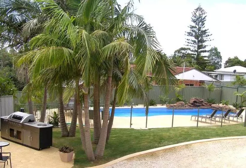 Koala Tree Motel