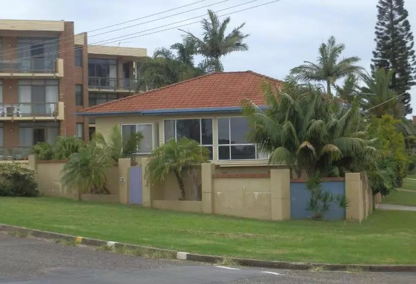 Koala Tree Motel