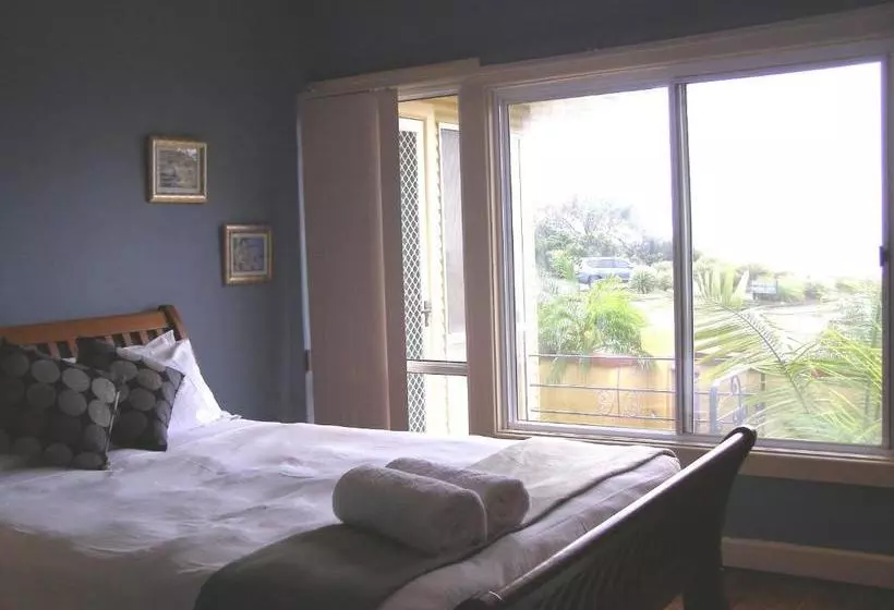 Koala Tree Motel