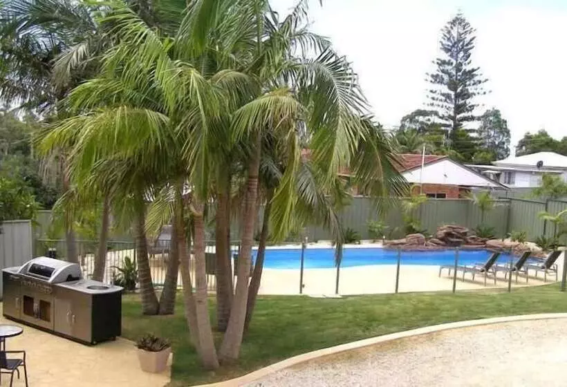 Koala Tree Motel