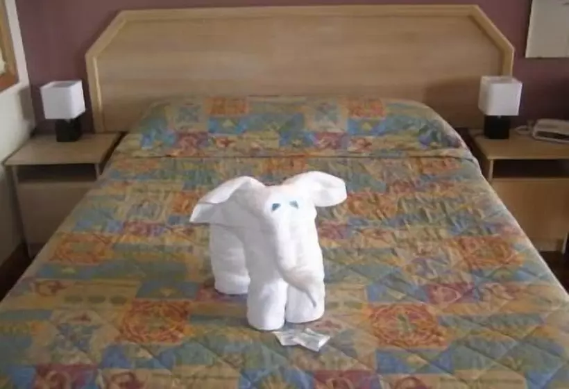 Koala Tree Motel