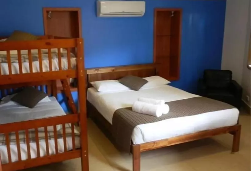 Koala Tree Motel