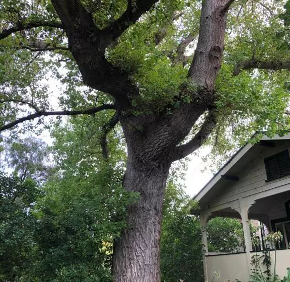 Lorelei Bed & Breakfast