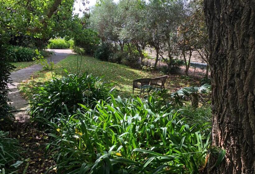 Lorelei Bed & Breakfast