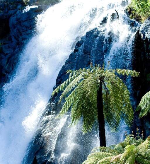 Tower Motel Marysville