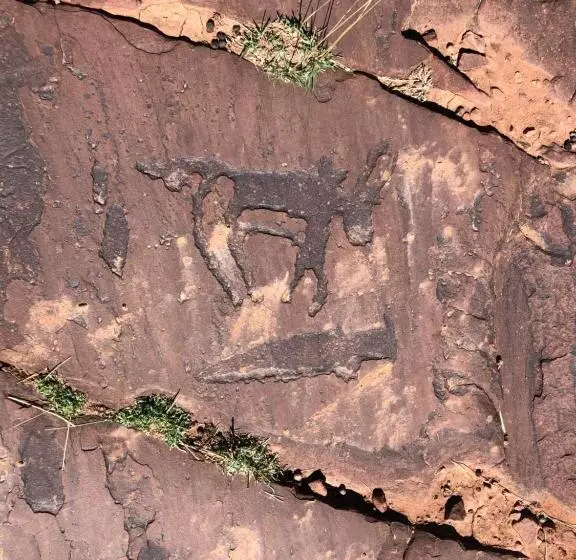 Aamiaismajoitus (B&B) Guest House Tigminou