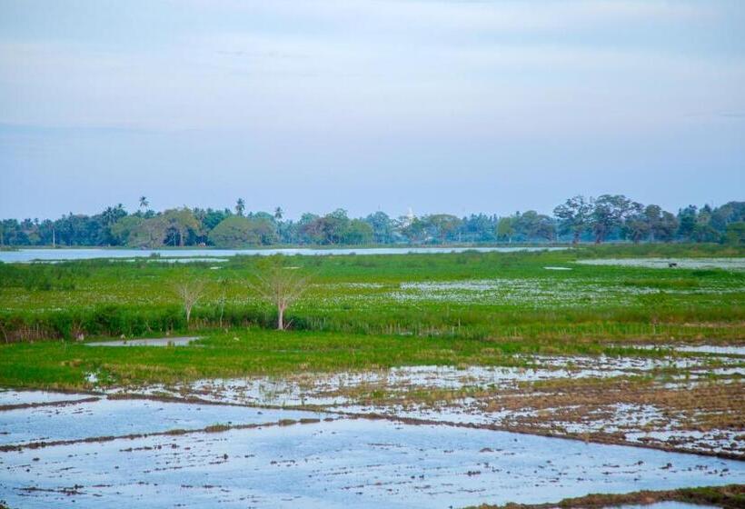 Отель My Resort Yala