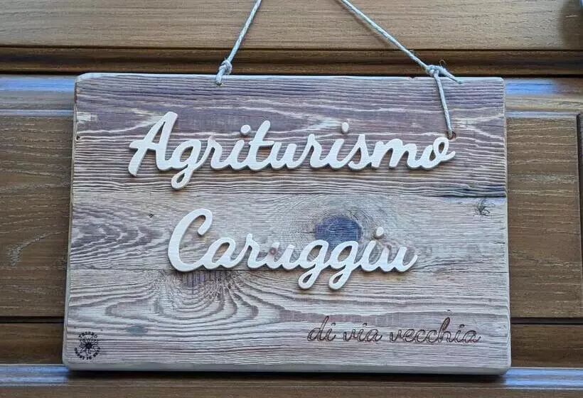 ホテル Agriturismo Caruggiu Di Via Vecchia