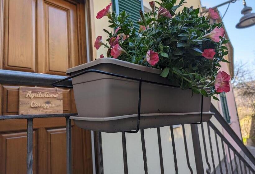 Hotelli Agriturismo Caruggiu Di Via Vecchia