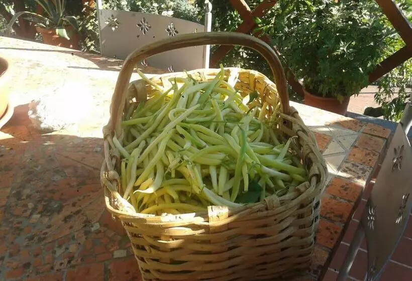 ホテル Agriturismo Caruggiu Di Via Vecchia