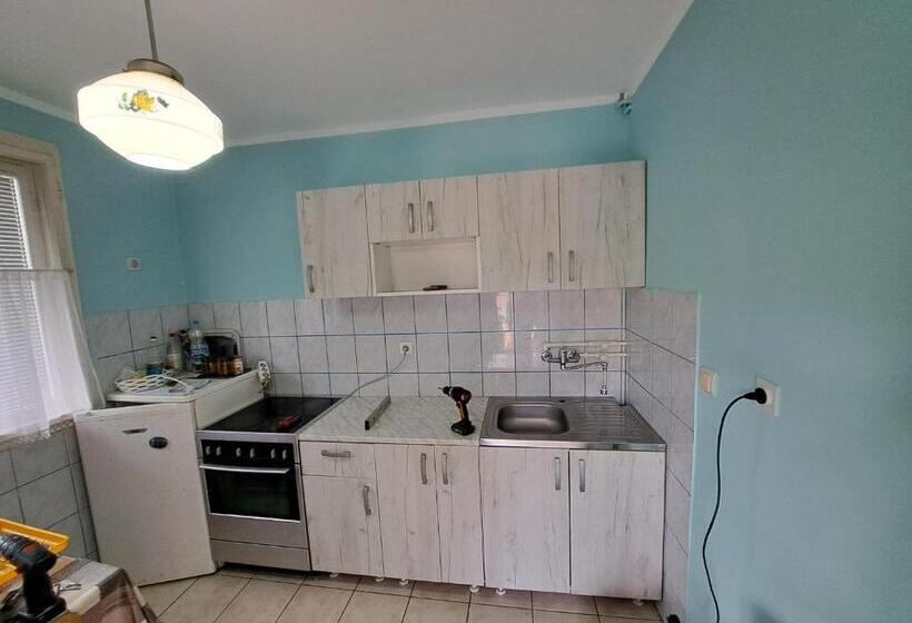 پانسیون Domaćinstvo Jolović