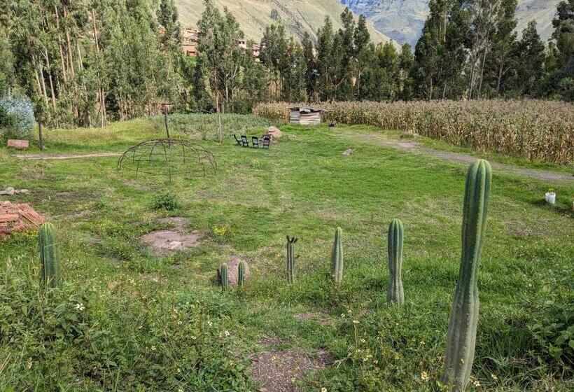 Pension Elegua Casa Medicina