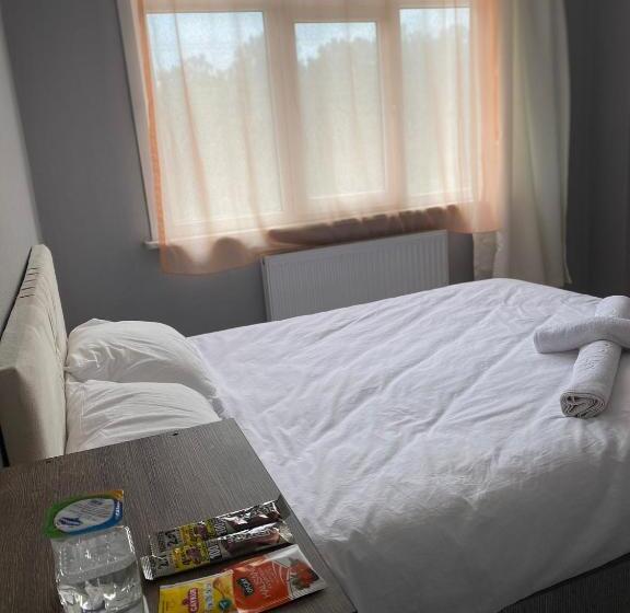 هاستل Airportforestroom