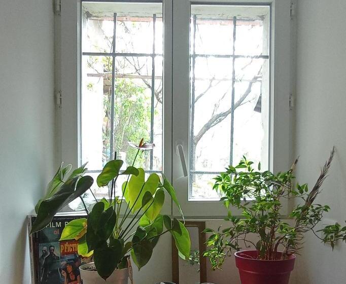 Bed and Breakfast Alexa Et Compagnie