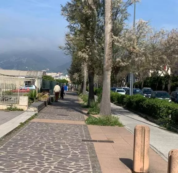 تختخواب و صبحانه My Home